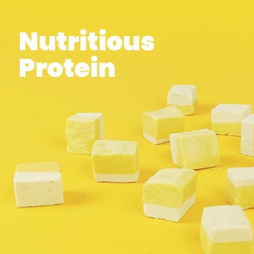 All Too Good Freeze-Dried Treats Chic w/ Egg Yolk Nutritious Protein 100g